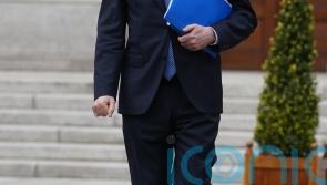 Finance minister rules out wage subsidy scheme for firms affected by tariffs