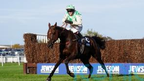 Death announced of Grand National runner Celebre d&rsquo;Allen