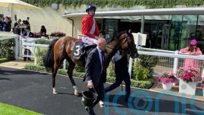 Cheveley Park switch attention to Flat with Classic hopefuls