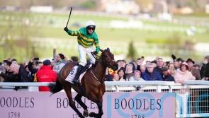 Inothewayurthinkin skips Punchestown in favour of summer break