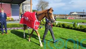 Galen gets the better of Jan Brueghel at the Curragh