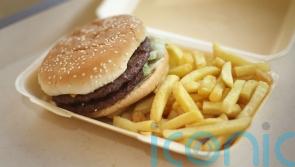 Dead spider in bread and glass in chicken breast among items found in food