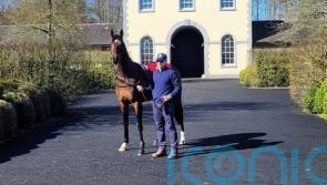 O&rsquo;Brien keen to exorcise City Of Troy Guineas ghost