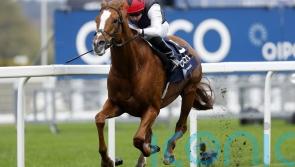 Arc tilt could be on the agenda for Kyprios this term