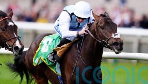 High Stock pleases with winning Wood Ditton debut