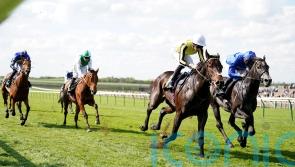 Pellitory picks up nice Newmarket prize &ndash; and set for bigger things