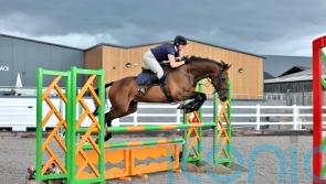 Lisnagar Oscar continues to post winning performances