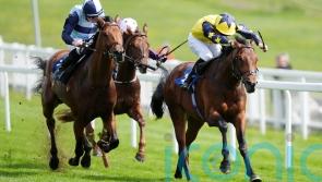 Sea Scout battles on bravely to land Blue Riband Trial