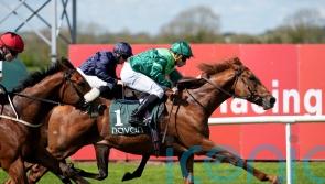 Whistlejacket made to battle for Committed prize