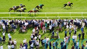 Duty First team excited to take Guineas plunge on Sunday