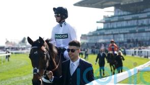 Constitution Hill declared for Punchestown assignment