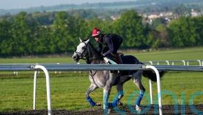 Field Of Gold can &lsquo;close the circle&rsquo;, says Gosden