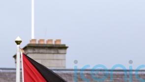 Pro-Palestine protesters breach perimeter at airport in Co Clare