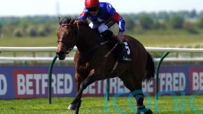 Tiger Bay pounces for Listed honours at Newmarket