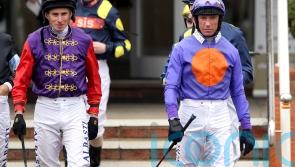 Dettori and Moore among superstar signings for new jockeys&rsquo; league