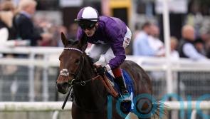Tuscan Hills to test Derby aspirations in Dante date