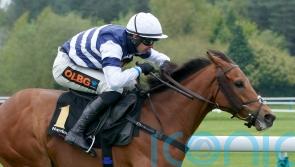 Givemefive aiming to scale new heights in Swinton test