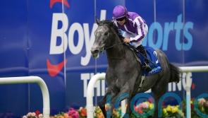 Puppet Master captains O&rsquo;Brien&rsquo;s Lingfield trials team