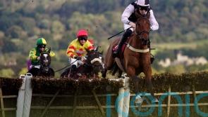 Our Champ picks up deserved big prize at Haydock