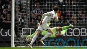 Riley Harbottle header haunts Notts County to give AFC Wimbledon slender lead