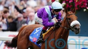 See The Fire aiming to make Middleton mark