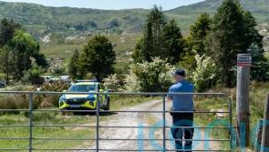 Man arrested on suspicion of the murder of Co Kerry farmer Mike Gaine