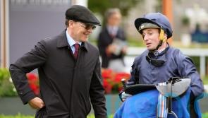 Storm Boy headlines &lsquo;very competitive&rsquo; Greenlands field