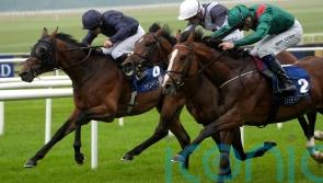 Thrice awarded Gallinule glory at the Curragh