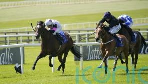 Porta Fortuna makes stylish return to action