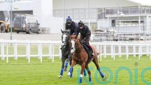 Damysus and Nightwalker pass muster in Epsom gallop