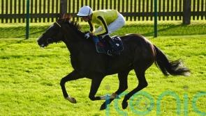 Burdett Road to test Gold Cup claims at Sandown