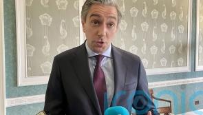 &lsquo;Calm and measured dialogue&rsquo; required after Trump tariffs blocked, says Tanaiste