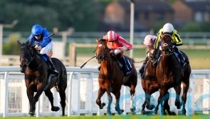 Opera Ballo back on the right track in Heron Stakes