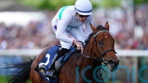 Setback puts Friendly Soul plans on hold