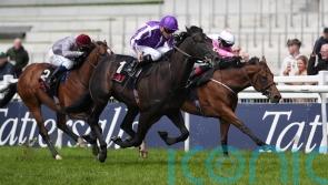 Sprained joint sidelines Albert Einstein