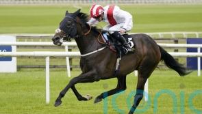 Royal Dress booked in for Epsom return