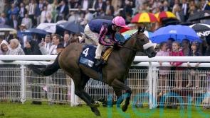 Flora Of Bermuda joins Wathnan team ahead of Ascot