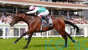 Balding contemplating Commonwealth challenge for Jonquil