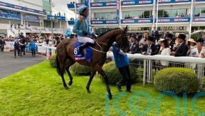 Lazy Griff connections keep options open after Derby exploits