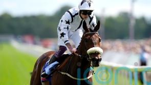 Consistent Al Qareem bags another big prize