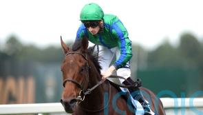 Urban Lion sets up Royal Hunt Cup tilt with Sandown success