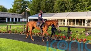 Carl Spackler adds truly international flavour to Queen Anne cracker