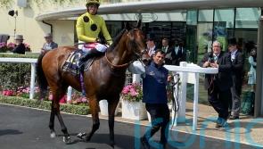 Ascot heartbreak for Hannon as Rosallion just eclipsed