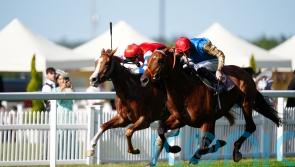 Haatem shines with back-to-back Royal Ascot victories