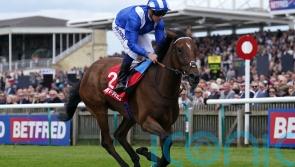 Classy line-up assembled for Coronation Stakes