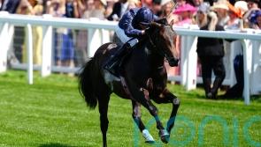 Charles Darwin lives up to his billing in Norfolk Stakes