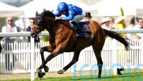 Trawlerman comes of age with Gold Cup haul