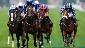 Venetian Sun shines brightest in Albany Stakes