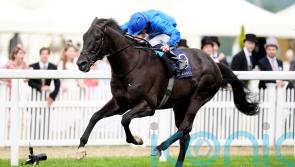 Rebel&rsquo;s Romance digs deep for Hardwicke honours