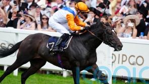 Noble just Champion for Walker and Shoemark